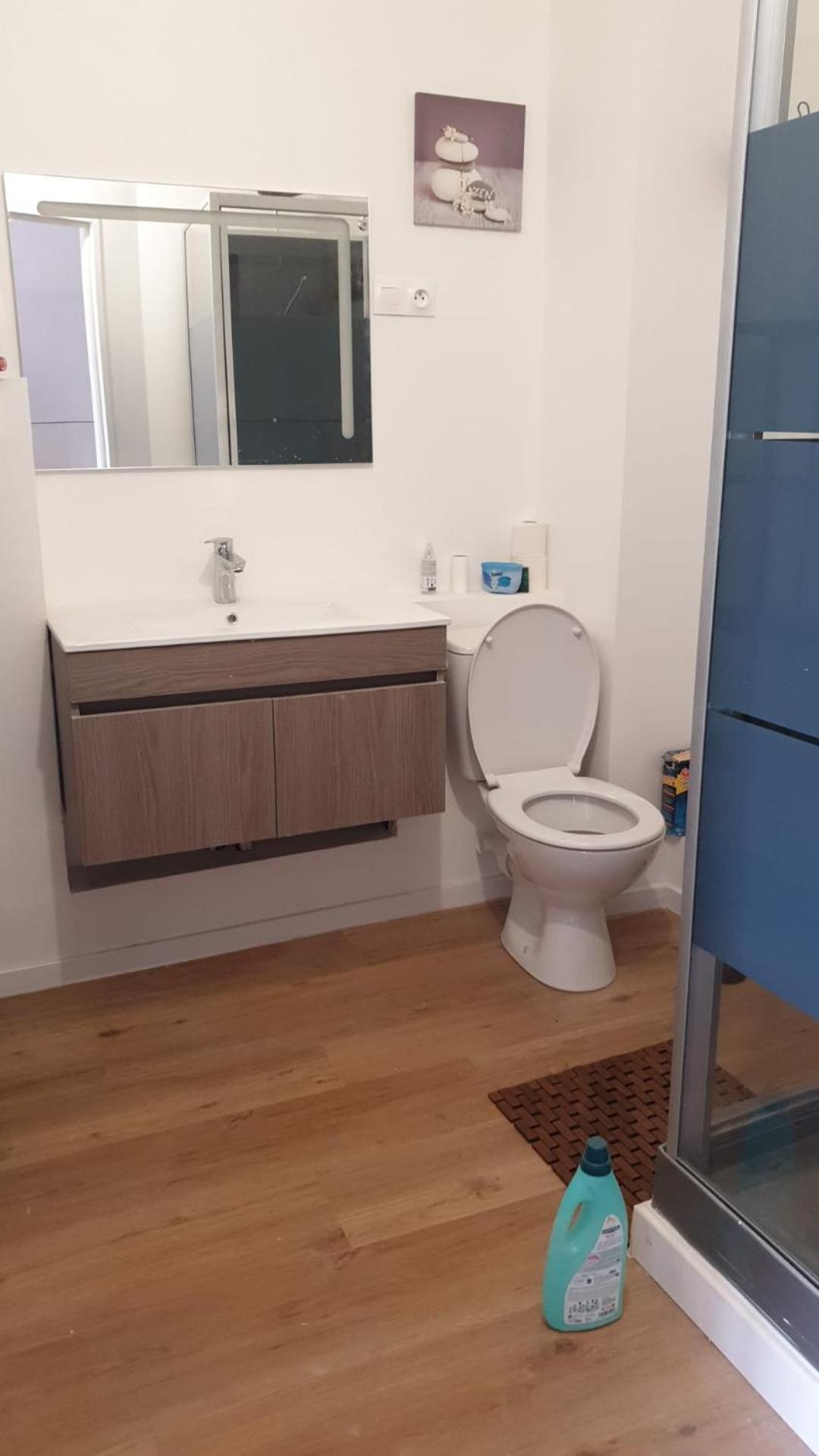 Appartements Simples Et Fonctionnels Pamiers Bagian luar foto